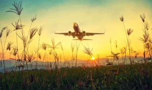 plane-flight-sky-travel-aircraft-sunset-1575625-pxhere.com